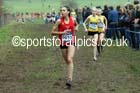 Womens under-17s Inter Counties Cross Country, Prestwold Hall, Loughborough. Photo: David T. Hewitson/Sports for All Pics